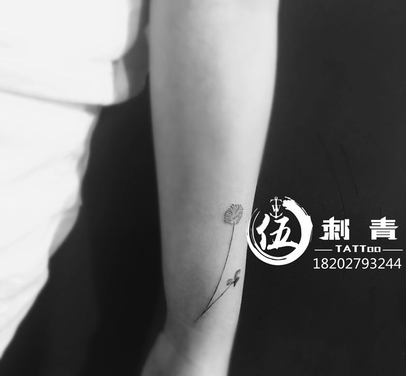 蒲公英纹身图片_手臂纹身图案
