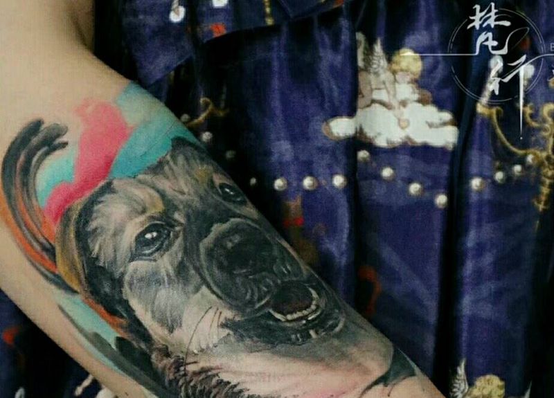 狗纹身图片_手臂欧美写实水彩狗纹身图案