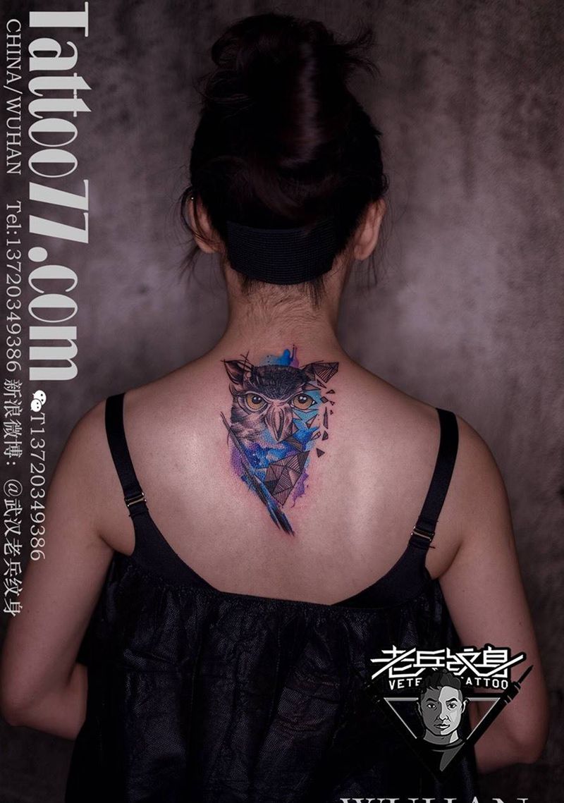 后背彩色猫头鹰纹身作品纹身图片_成品背部清新动物纹身图案
