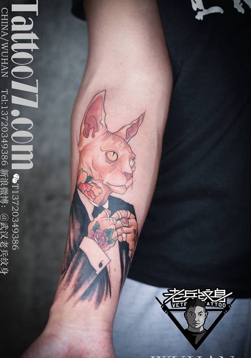 手部无毛纹身猫纹身作品纹身图片_成品手部欧美动物纹身图案
