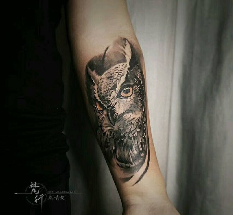 猫头鹰纹身图片_手臂新传统纹身图案
