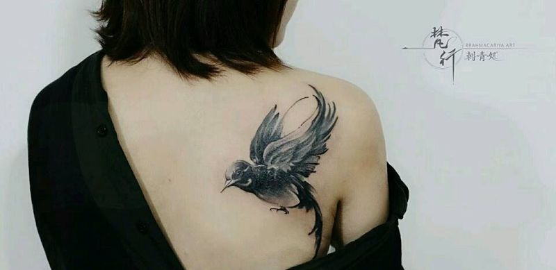遮盖纹身图片_背部新传统鸟纹身图案