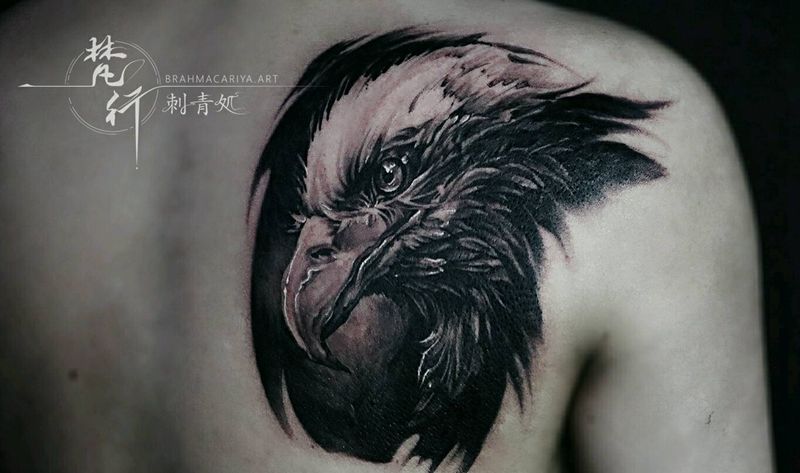 老鹰遮盖纹身图片