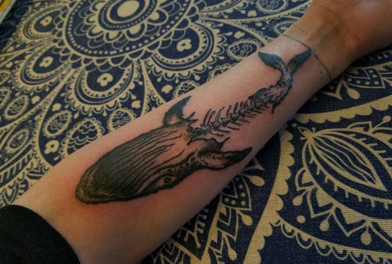 鲸鱼纹身图片_手臂欧美动物原创纹身图案