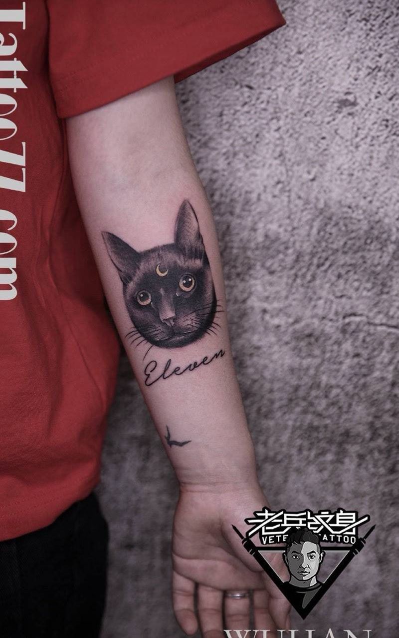 手部猫咪纹身纹身图片