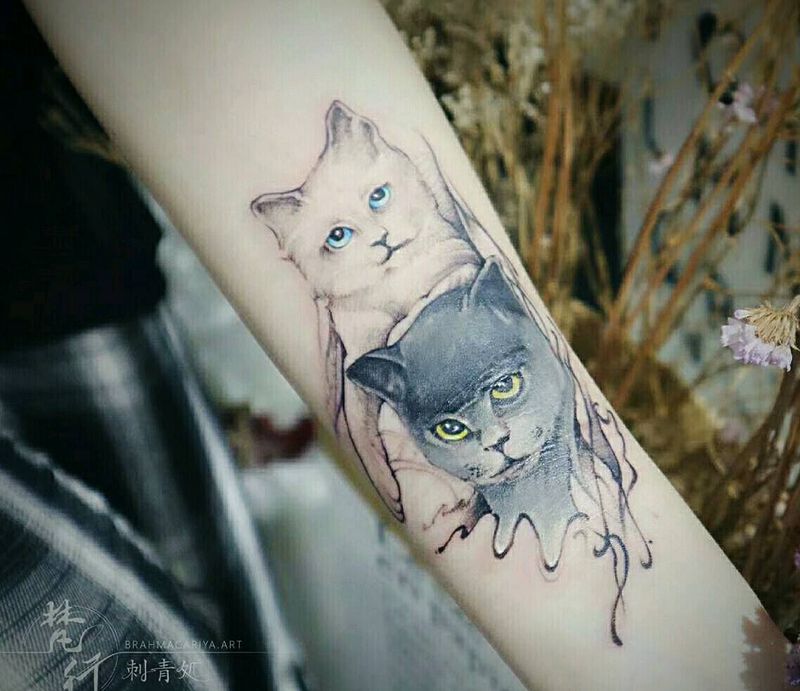 猫纹身图片_手臂欧美写实水墨猫纹身图案