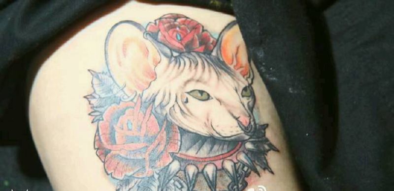 猫纹身图片_腿部欧美动物成品纹身图案