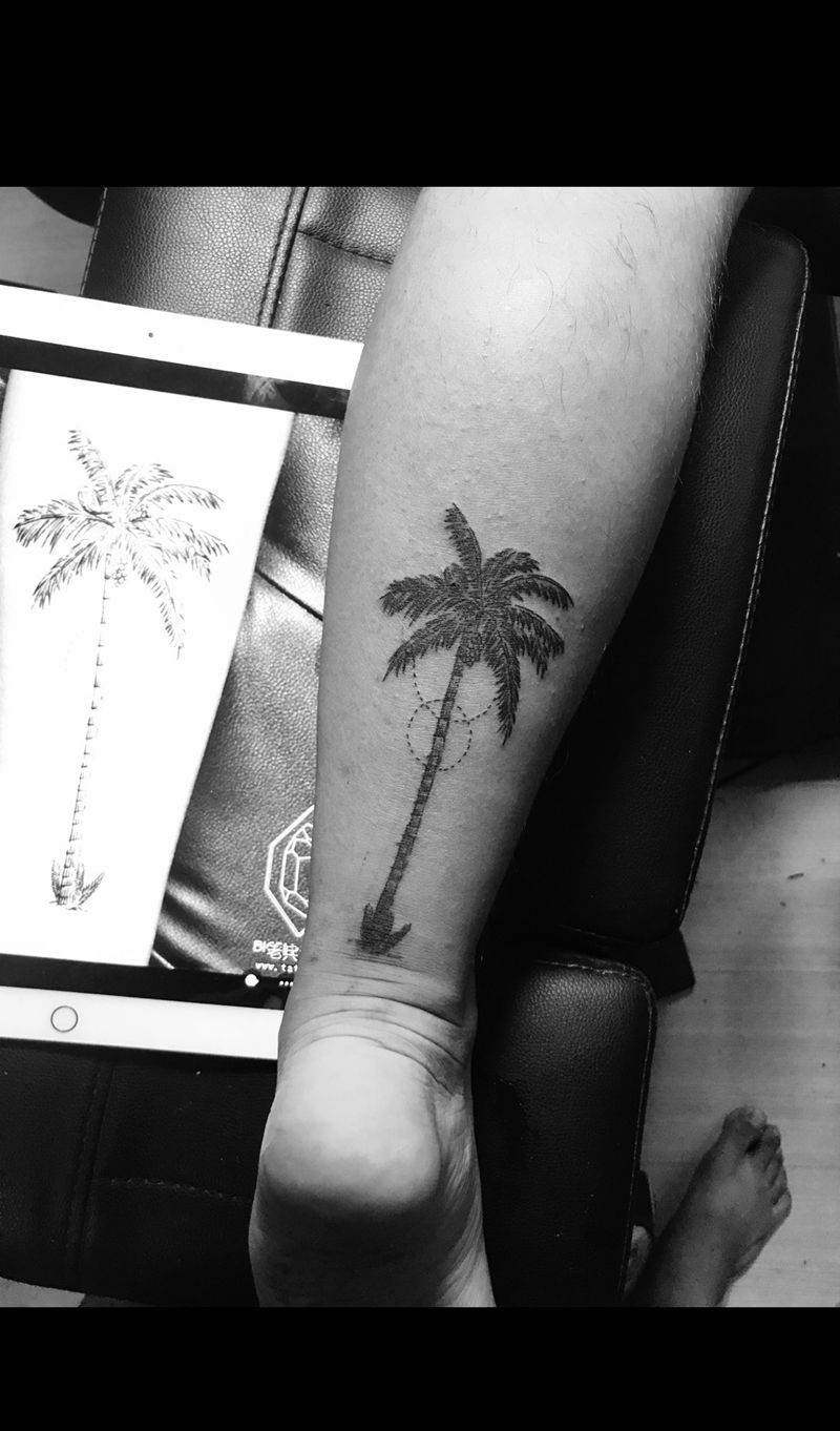 今日作品更新#椰树#纹身图片
