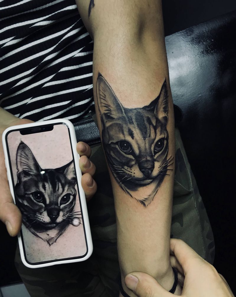 猫咪纹身图片_手臂欧美写实纹身图案