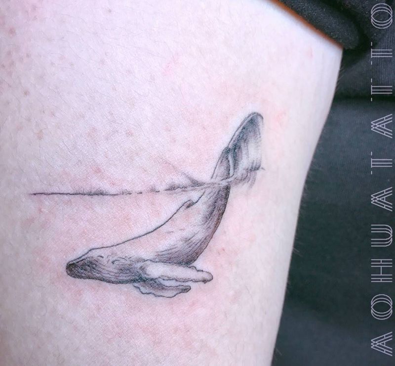 鲸纹身图片