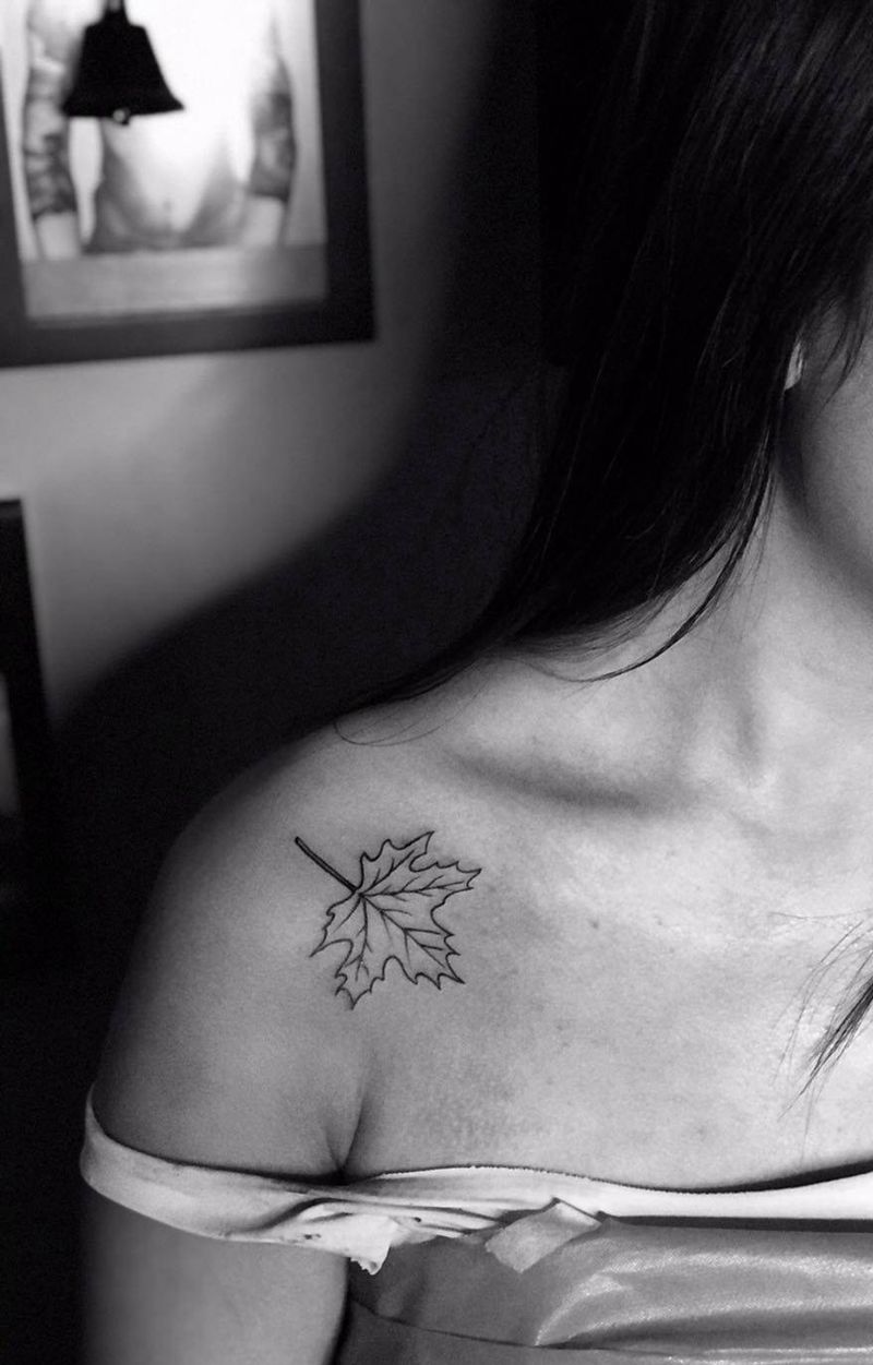 #今工：代表叶桐的梧桐树叶#”纹身图片