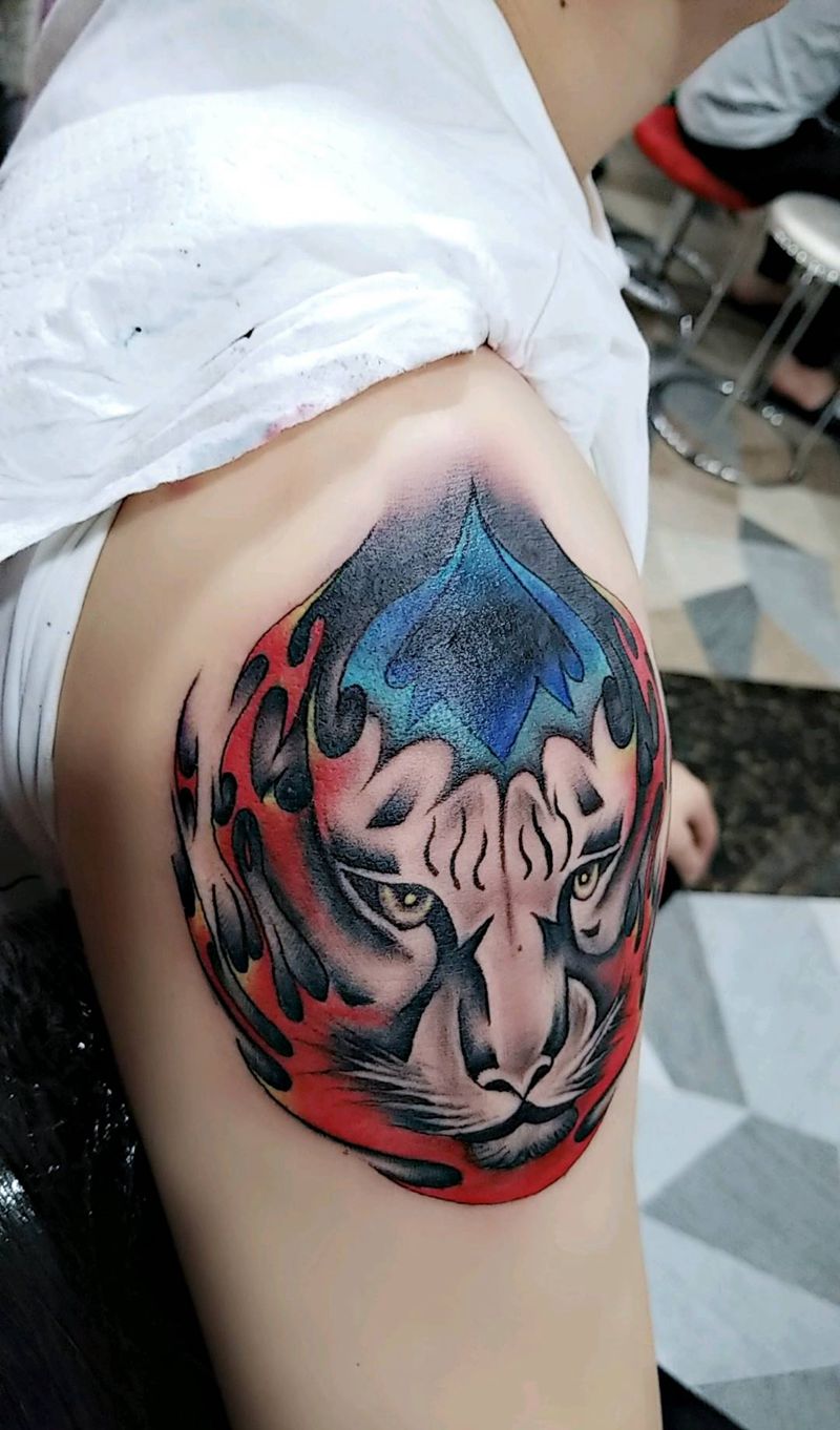 虎头遮盖英文纹身图片_手臂肩部新传统图腾纹身图案