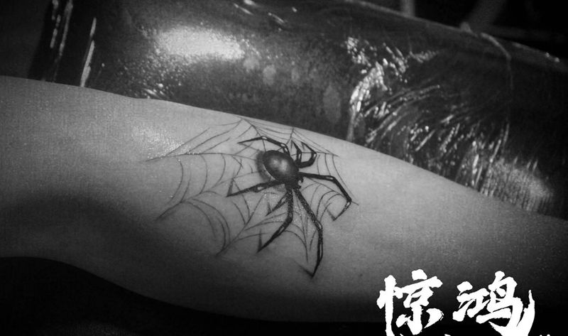 蜘蛛纹身图片_手臂欧美写实纹身图案