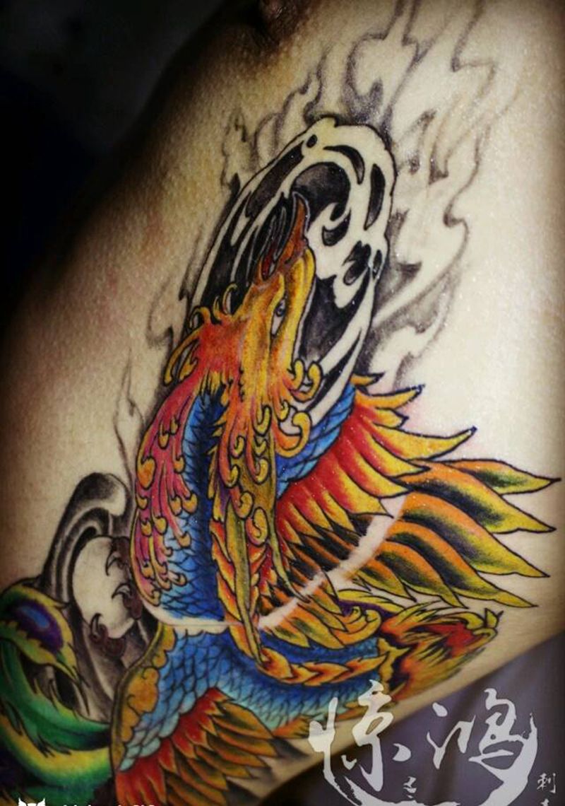 侧腰凤凰 未完成纹身图片_腰部传统动物成品纹身图案