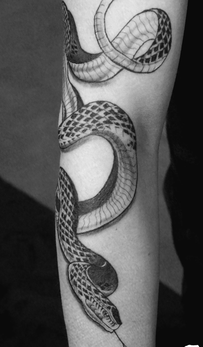 蛇纹身图片_手臂新传统纹身图案