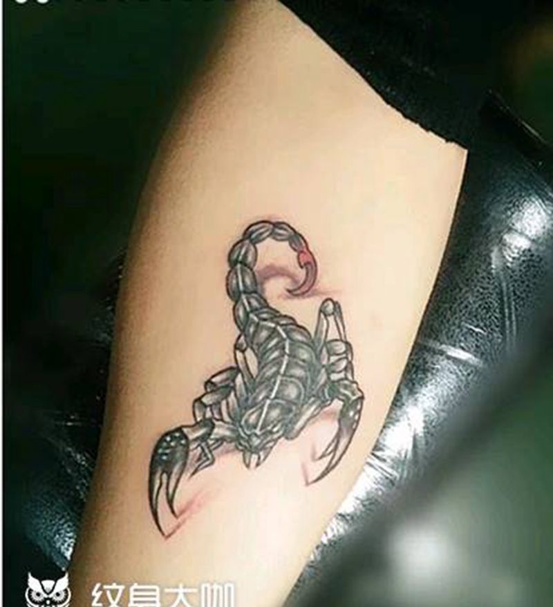 蝎子纹身图片_手臂传统动物成品纹身图案