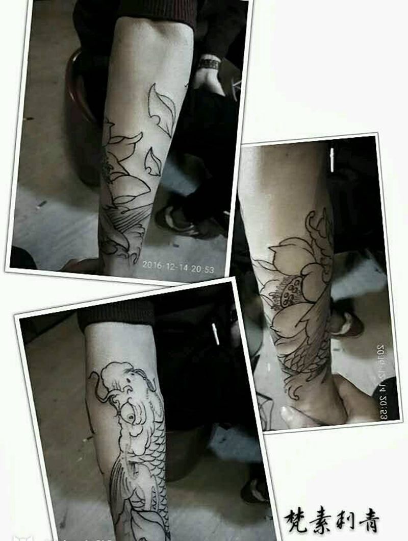 鱼莲图纹身图片