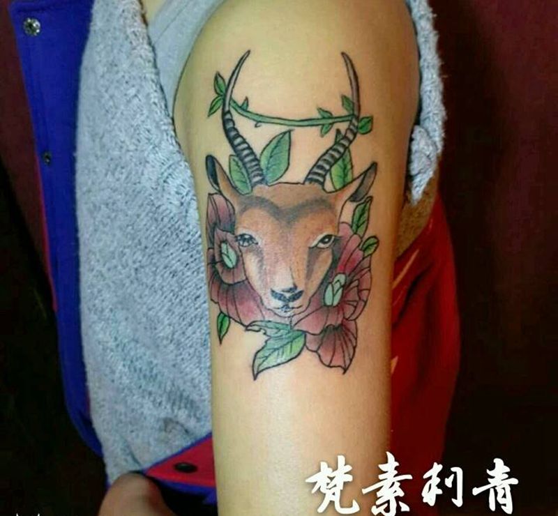 new  school鹿纹身图片