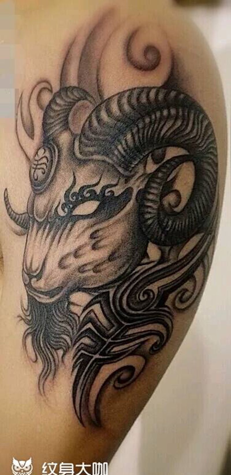 羊纹身图片_手臂传统动物成品纹身图案