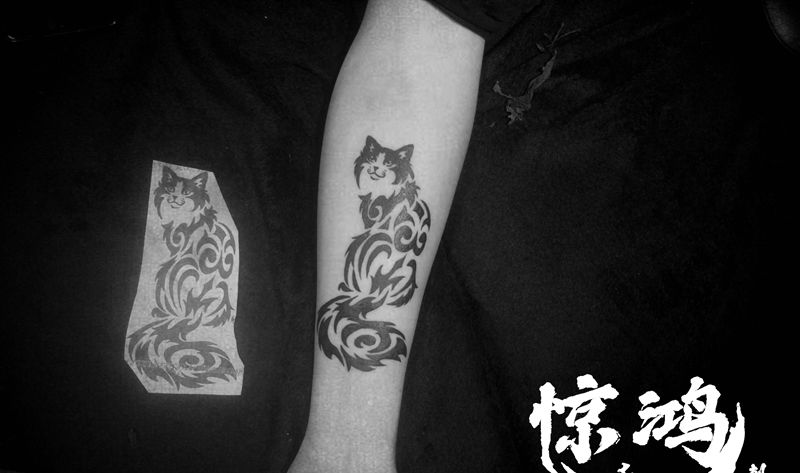 猫图腾纹身图片_手臂图腾纹身图案