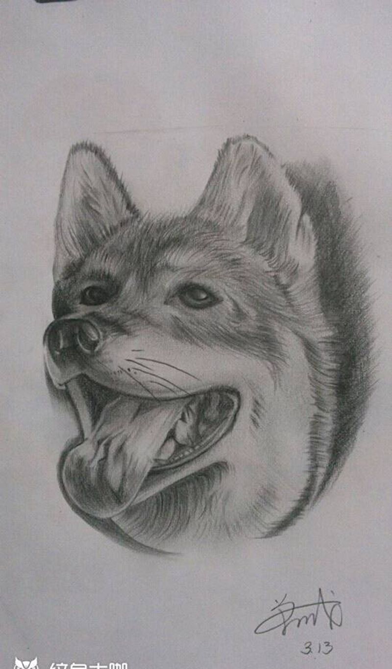 2012年纹身图片_背部手臂新传统欧美写实纹身图案