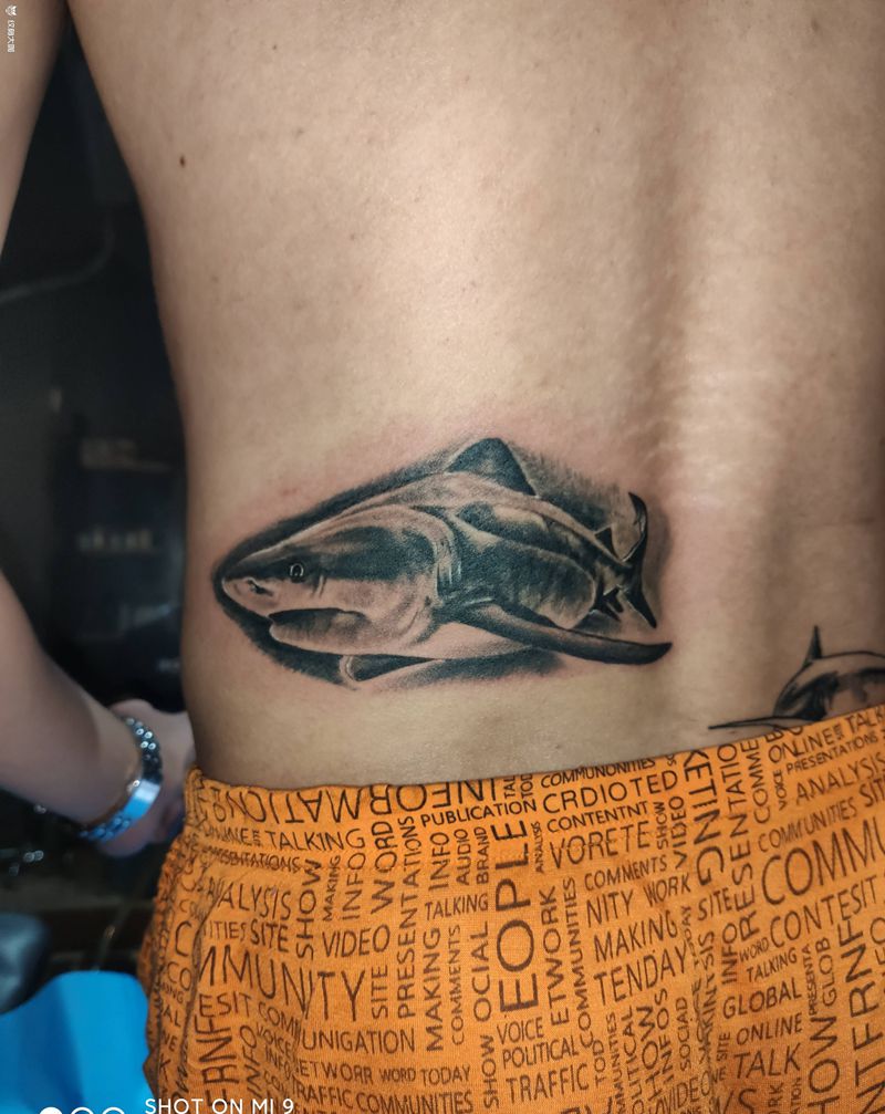 鲨鱼纹身图片_腰部欧美写实纹身图案