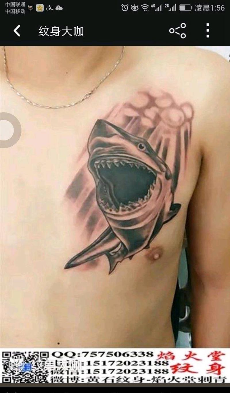 鲨鱼纹身图片_胸部传统动物成品纹身图案