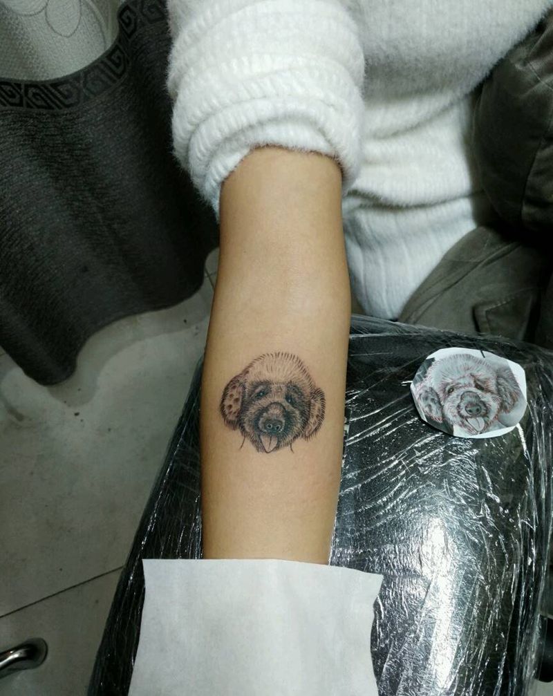 小泰迪纹身图片_手臂清新动物原创花絮生活成品插画纹身图案