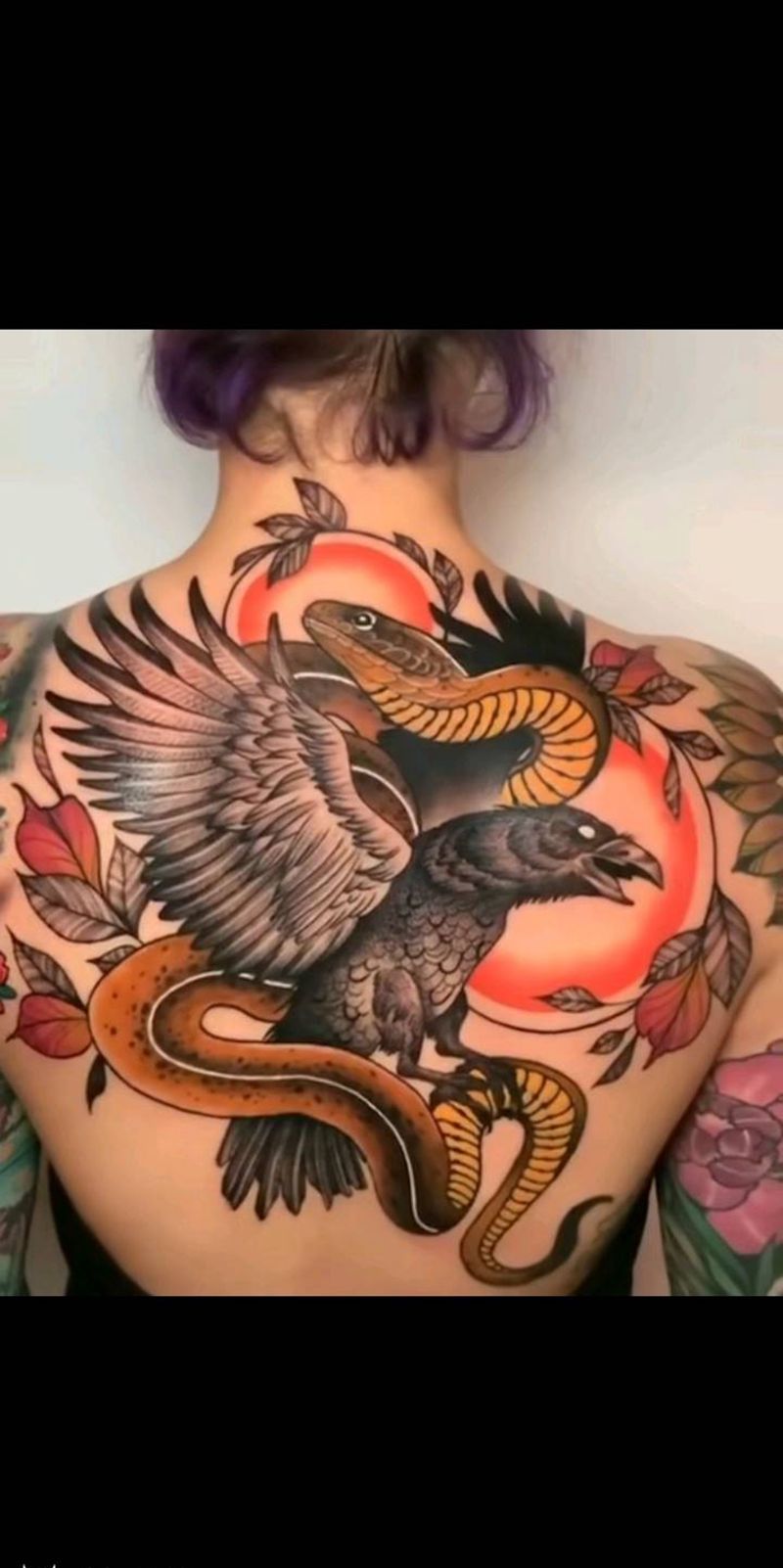 老鹰蛇 欧美school纹身图片_背部Old School新传统纹身图案