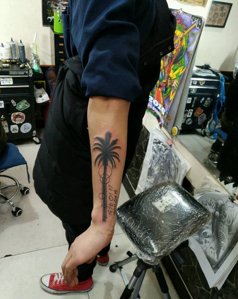 棕榆树,程冠希同感纹身图片_手臂传统字符植物原创花絮生活成品纹身图案