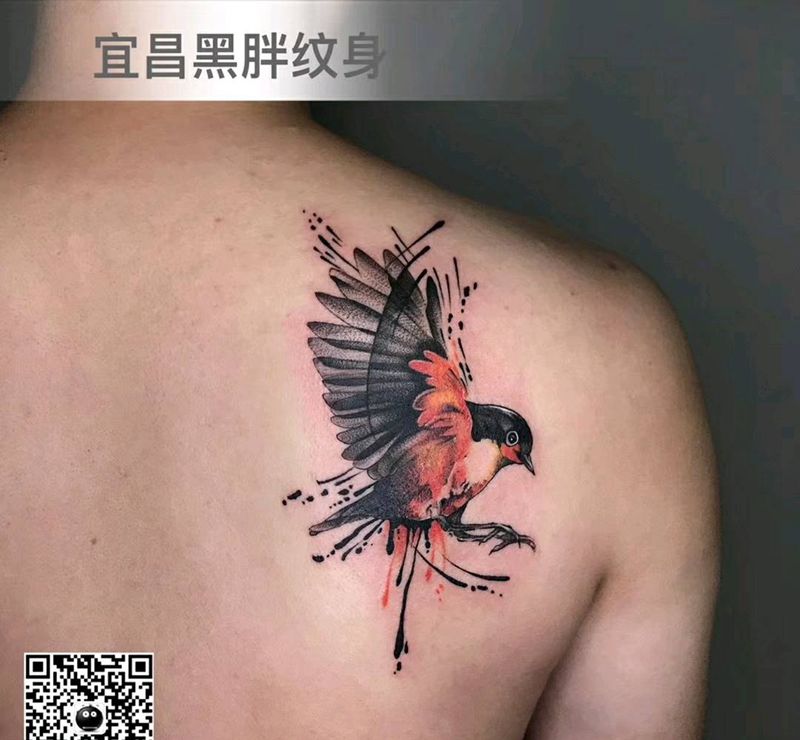 鸟纹身图片_背部纹身图案