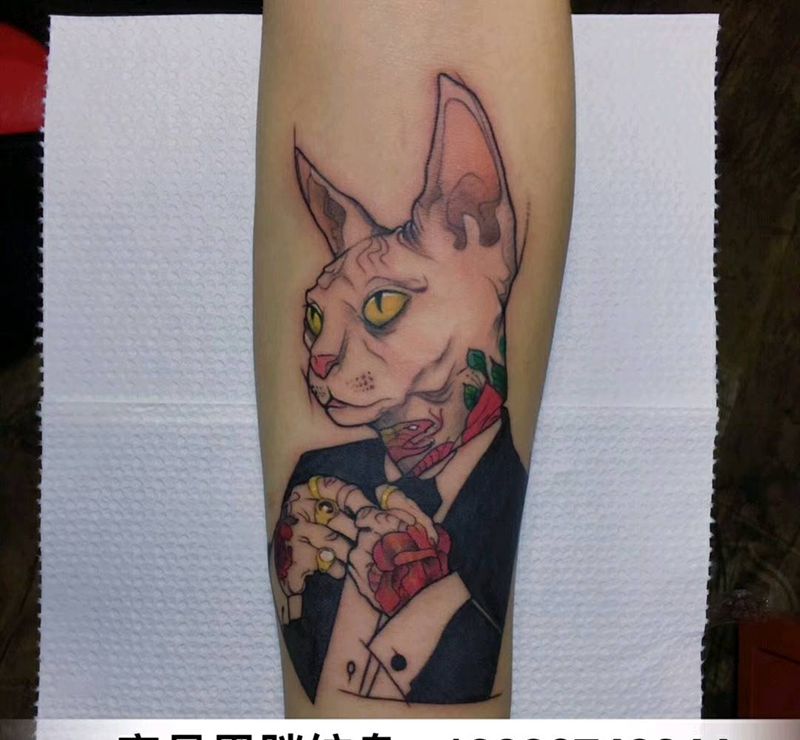 酷酷的斯芬克斯、