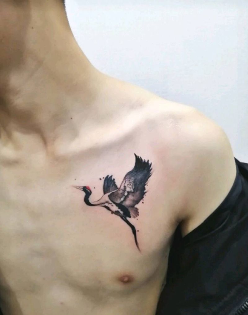 鹤纹身图片_胸部背部纹身图案