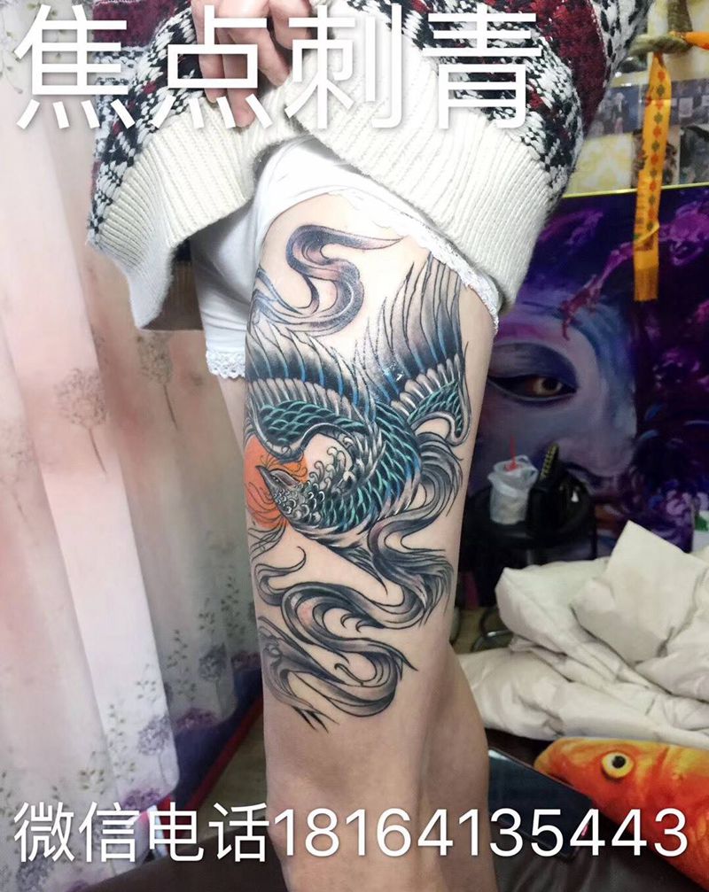 凤凰纹身图片