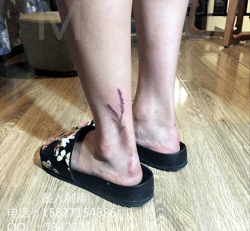 薰衣草纹身图片