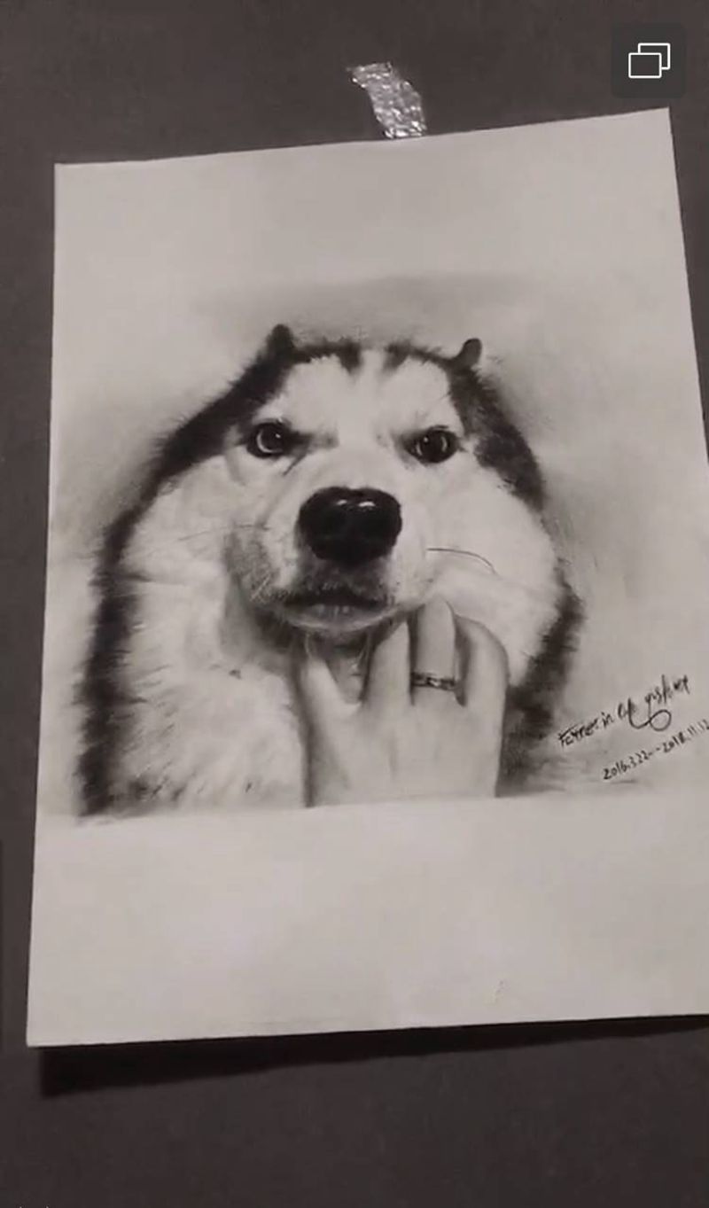 画纹身图片_欧美写实纹身图案