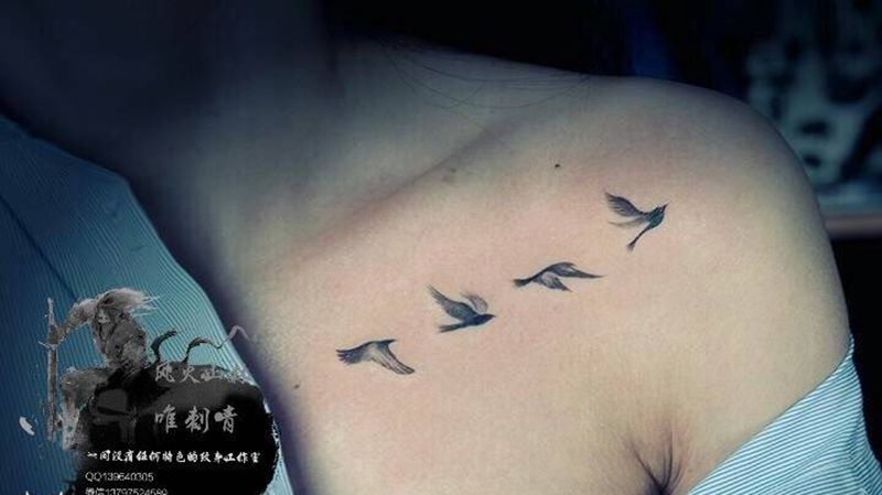 鸽纹身图片_成品胸部清新贴纸荆州唯刺青纹身图案
