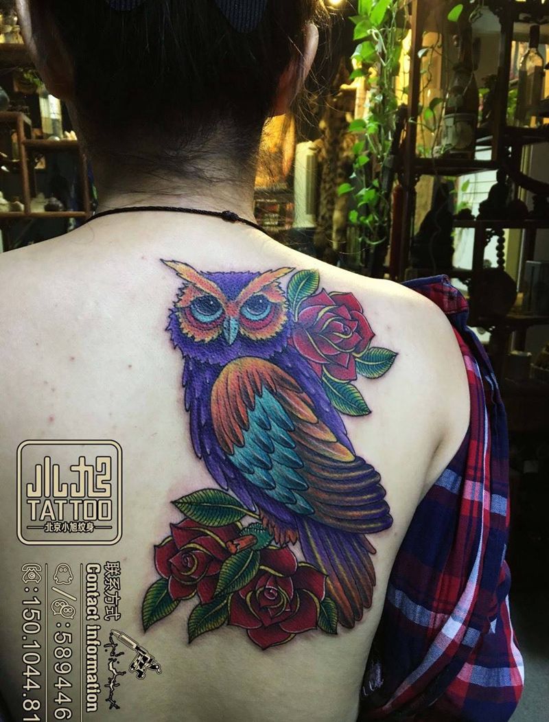 猫头鹰纹身图片_成品肩部背部欧美传统动物植物纹身图案