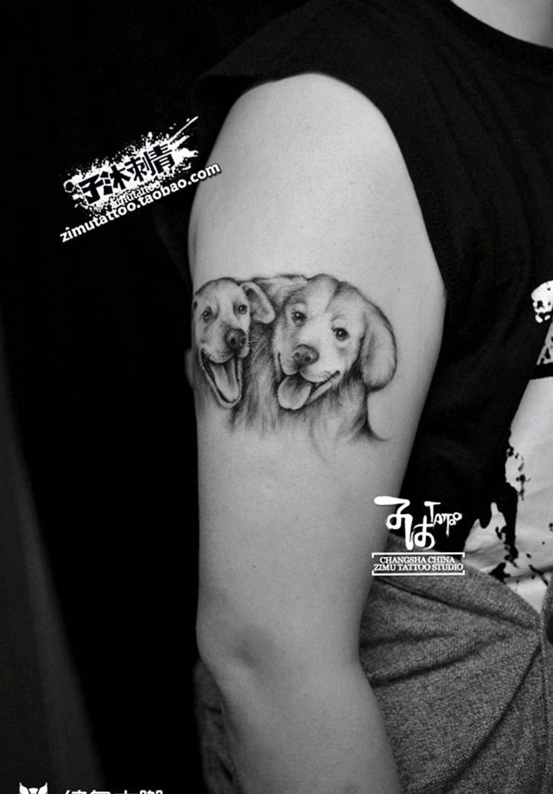 汪星人狗狗大臂黑灰写实宠物素描纹身图片_手臂欧美写实纹身图案