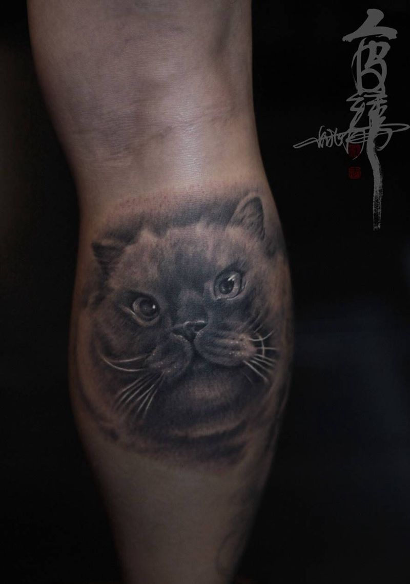 猫纹身图片_腿部脚部写实肖像动物纹身图案