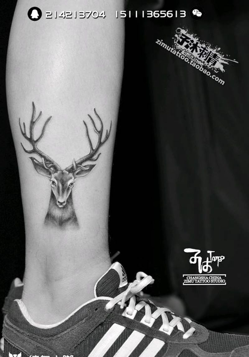耗时2.1 兽之所同,麀鹿麌麌纹身图片