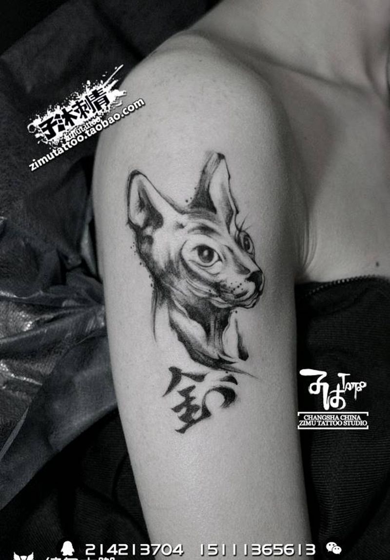 耗时1.3  猫.钊纹身图片