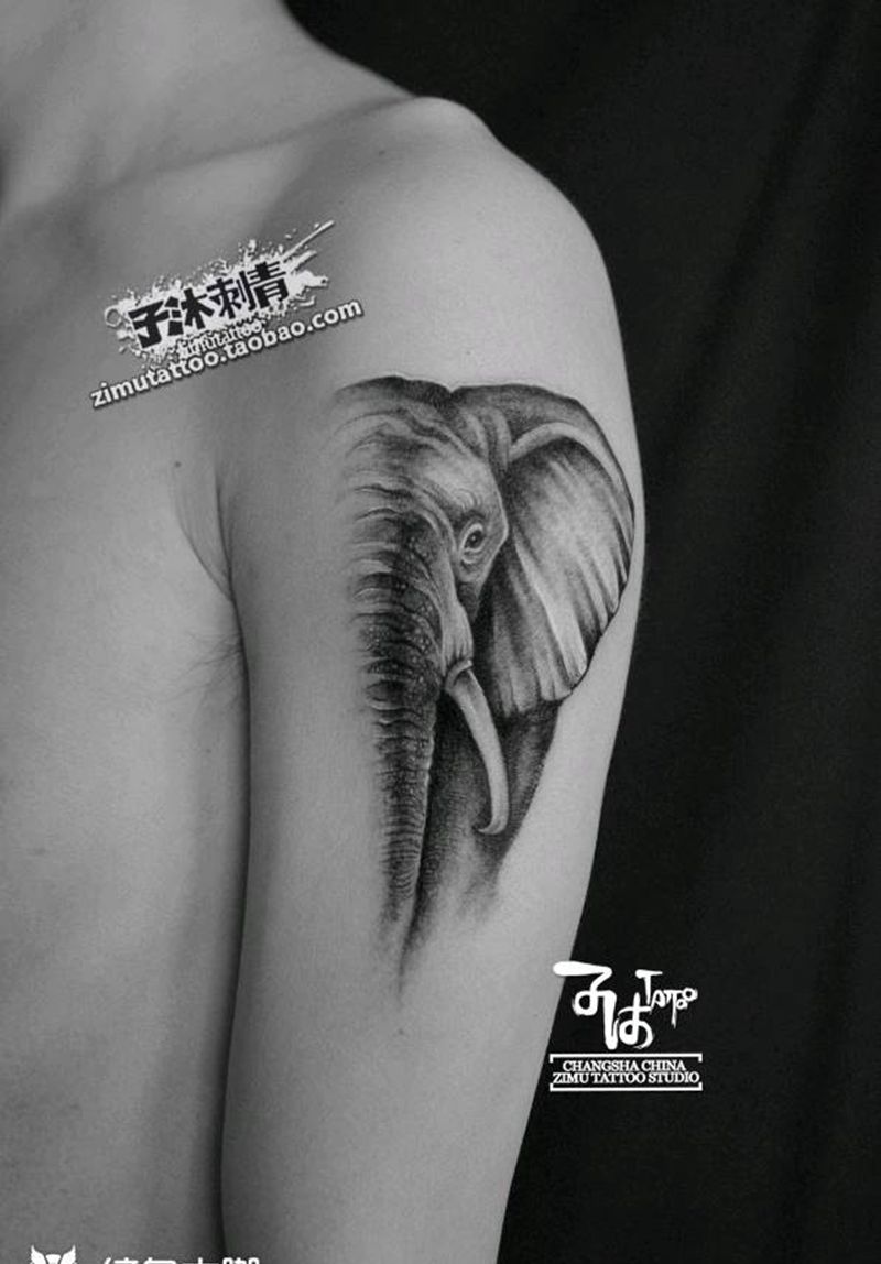 大象半边脸吉祥动物写实象神纹身图片_欧美写实New School纹身图案