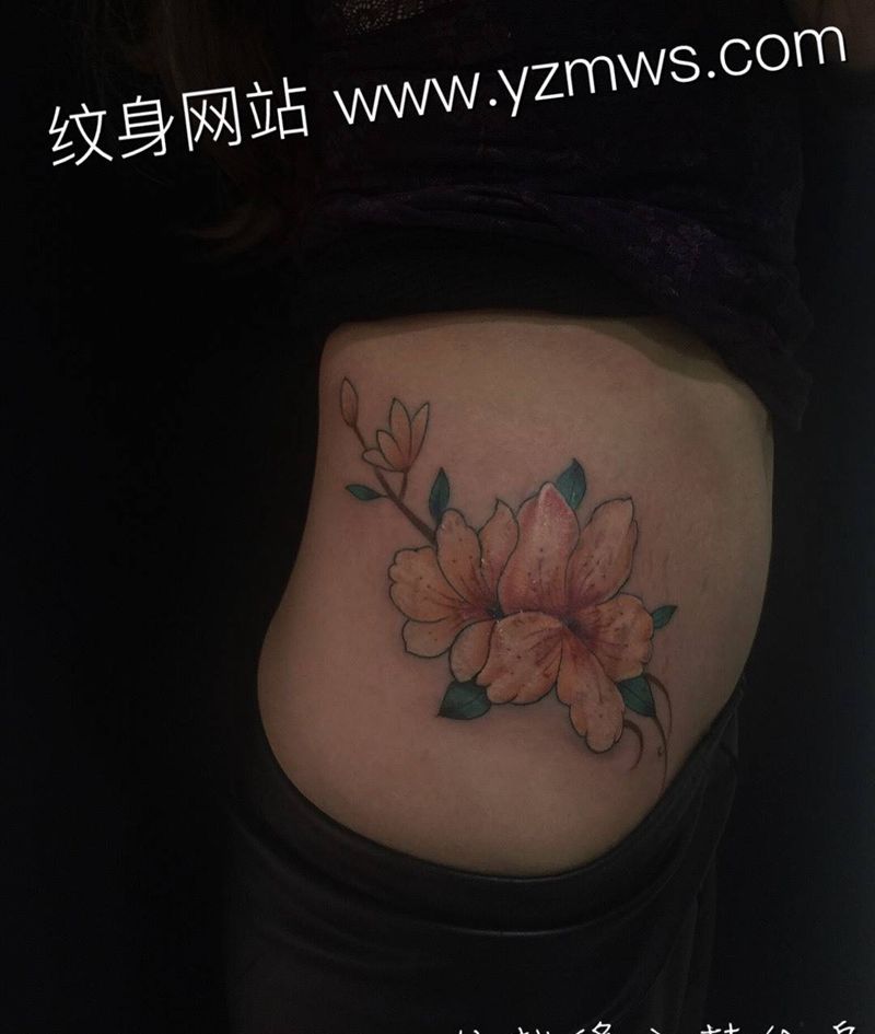 妊辰纹遮盖纹身图片