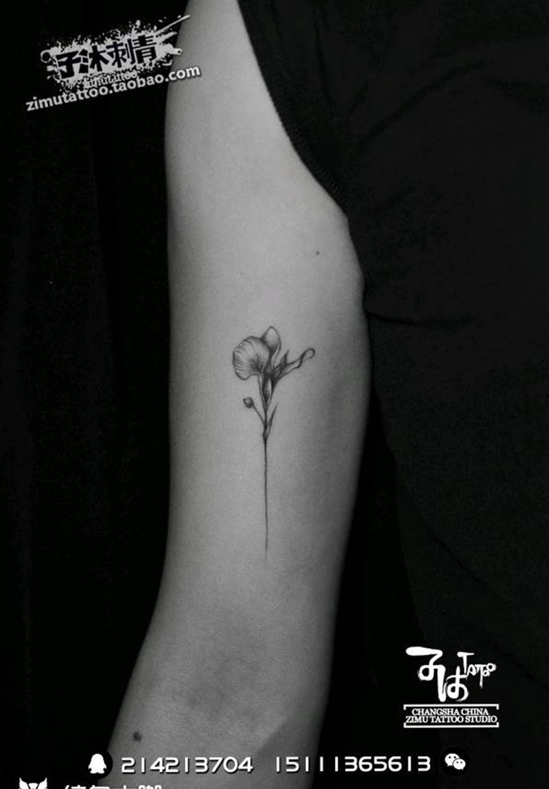 耗时0.4  幸运花纹身图片