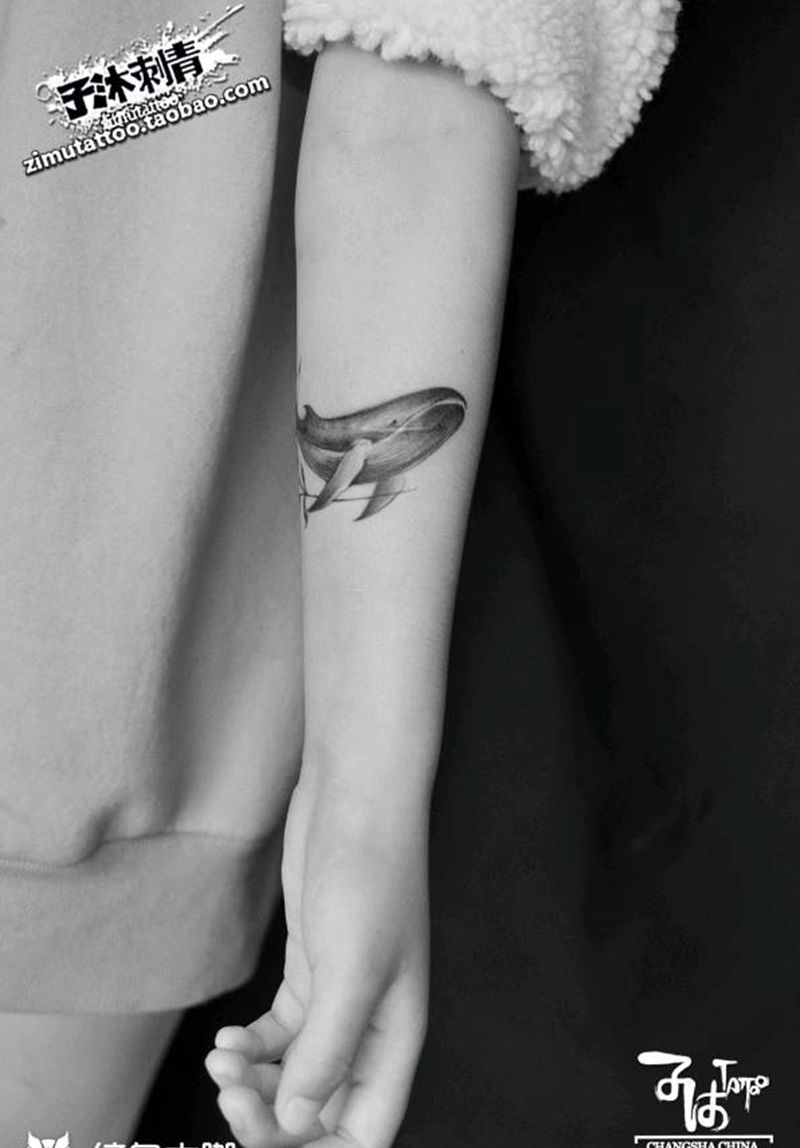 鲸鱼遮盖疤痕纹身图片