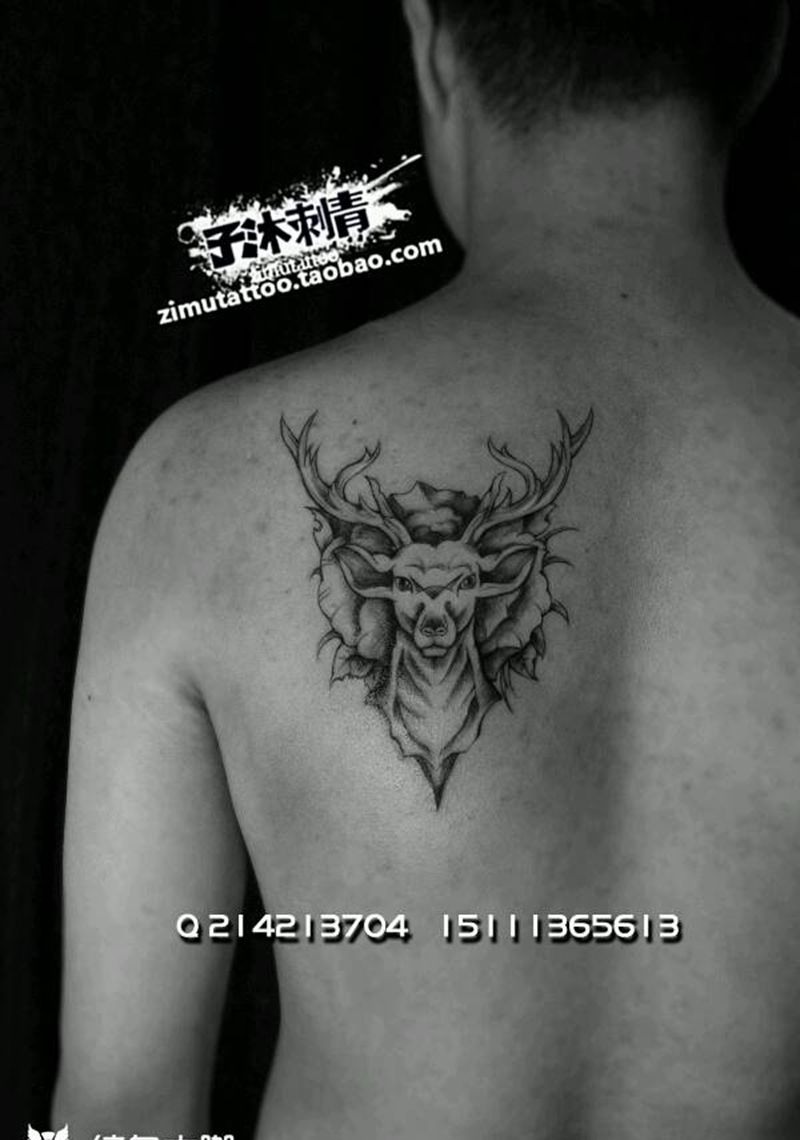 麋鹿玫瑰纹身图片