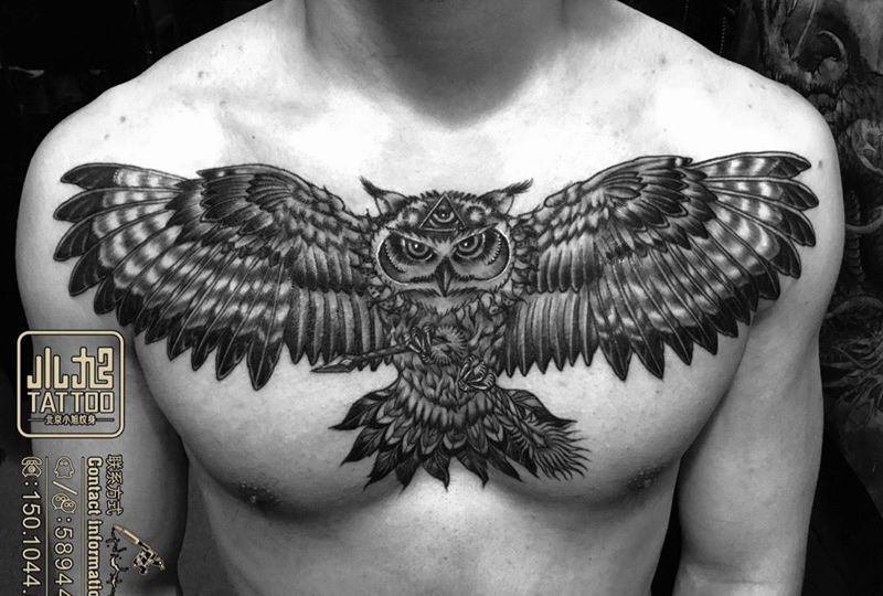 猫头鹰纹身图片_成品胸部欧美写实动物纹身图案