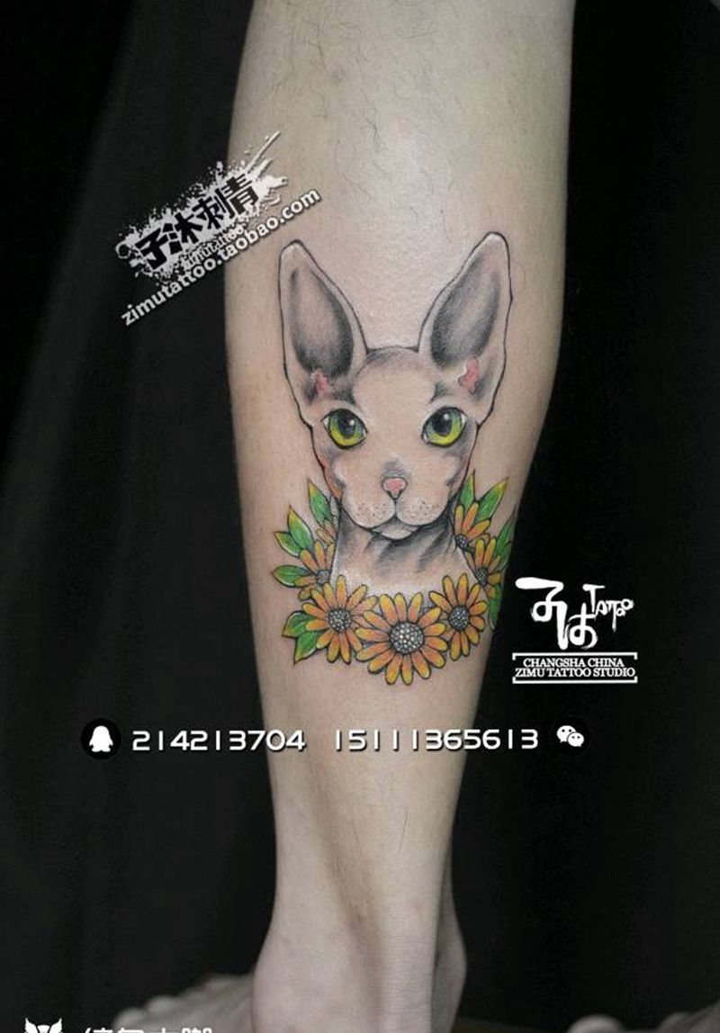 耗时2.2猫纹身图片_成品纹身图案