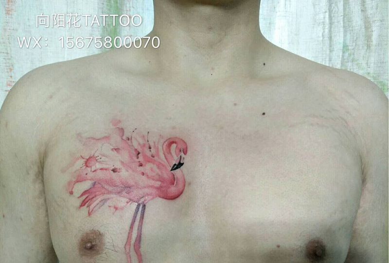 火烈鸟纹身图片_胸部水彩火烈鸟纹身图案
